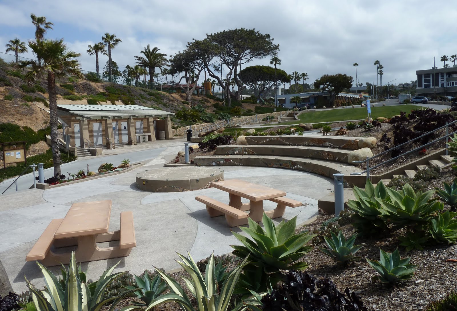 Observations Fletcher Cove