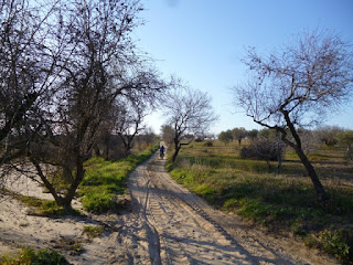 Pistas arenosas entre Cebolla y Montearagón