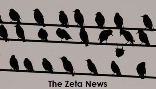 The zeta news
