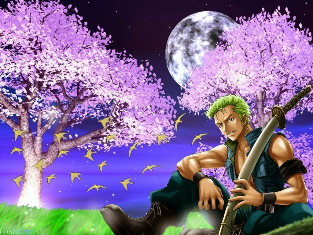 free download wallpaper Zoro free download wallpaper Zoro