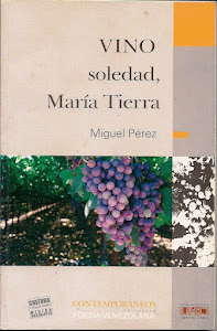 Vino soledad,María Tierra