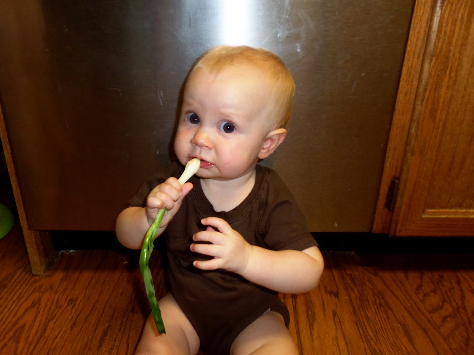 i'm going to make it (after all) Natural Teething Remedies