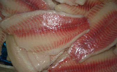 Red Snapper Suppliers