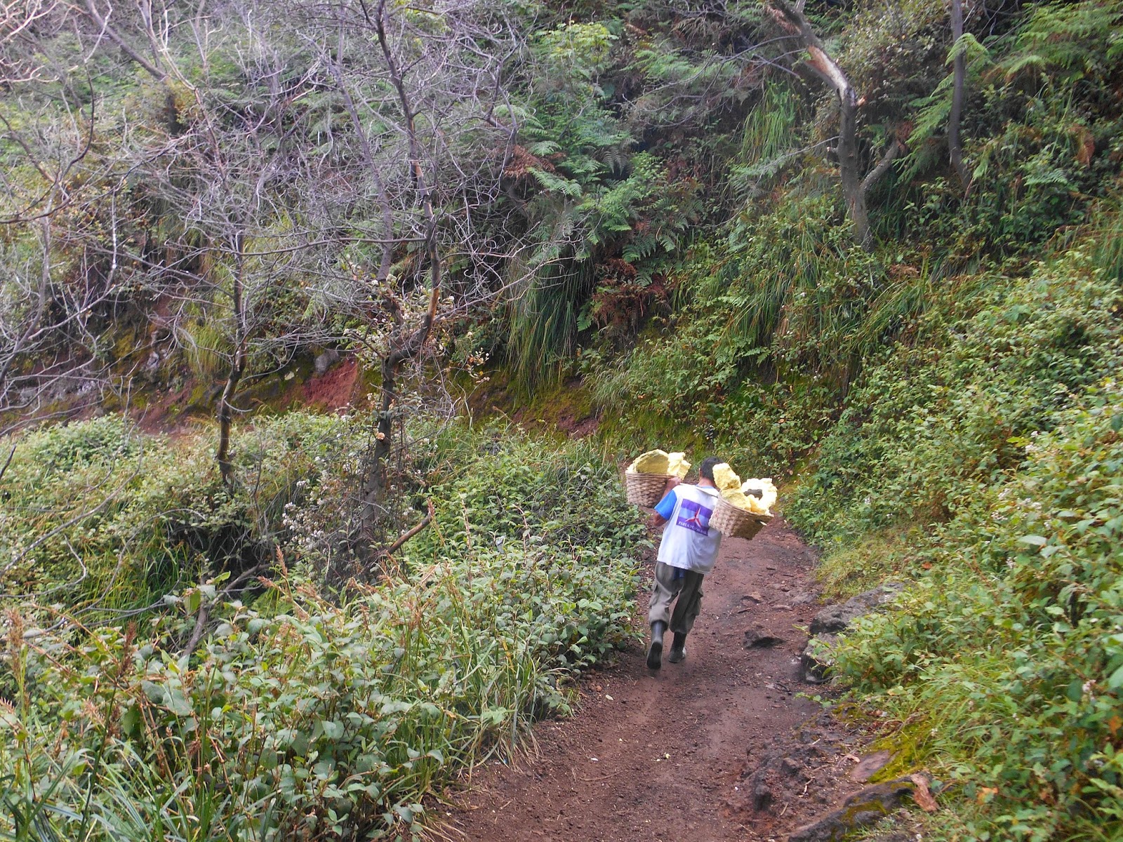 Ijen traditional miners carrier