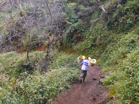 Ijen traditional miners carrier