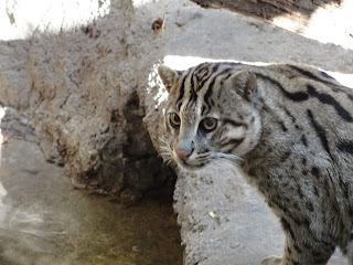 Scott Moreau on Tour: Long lost friends, craft beers, and ...