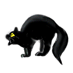 Scared Black Cat Gif