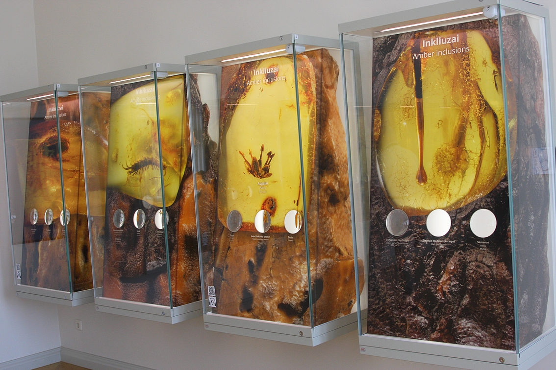 Паланга музей янтаря