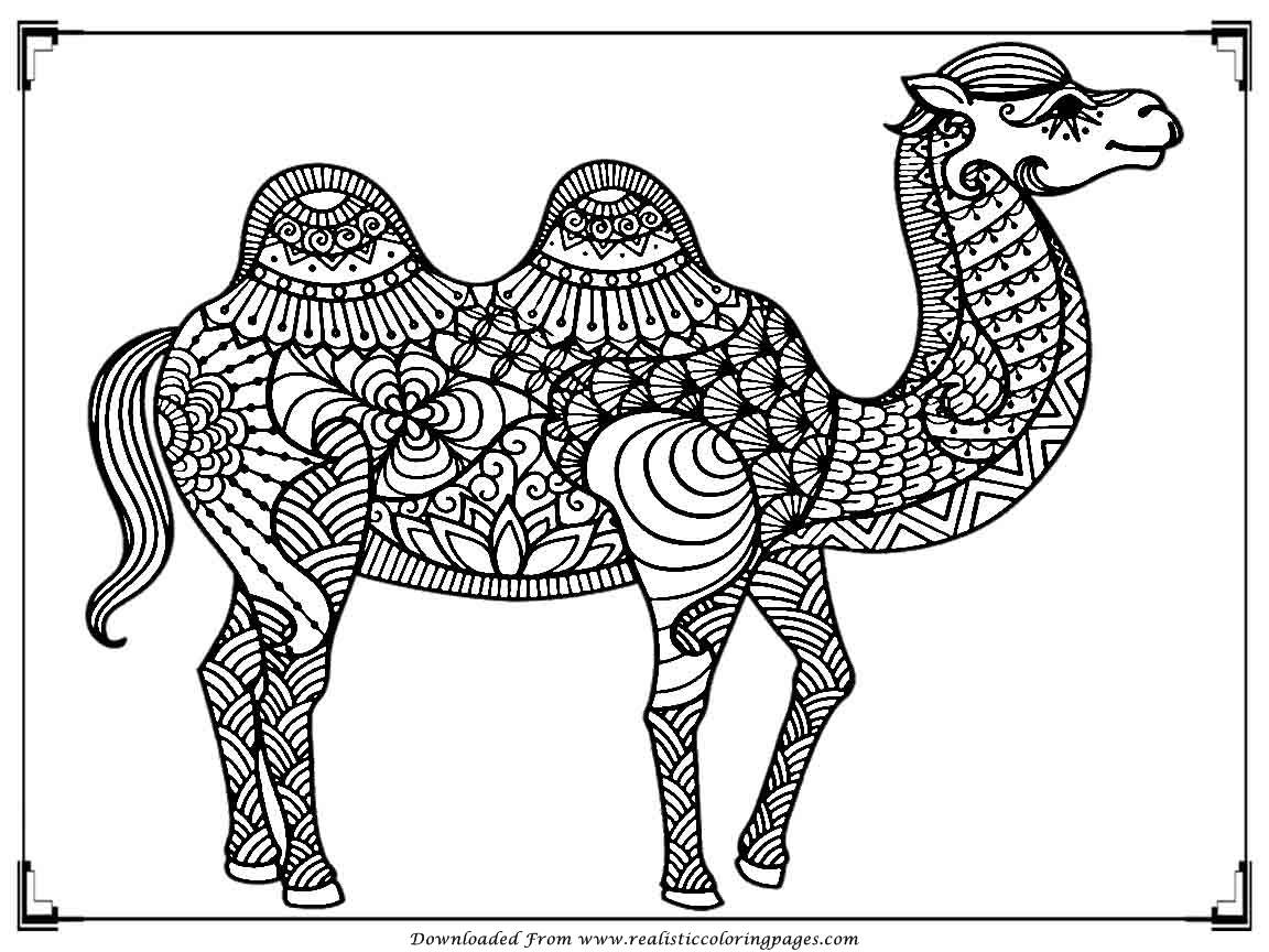Colouring Pages Of Camel Printable Camel Coloring Pages For Adult Realistic