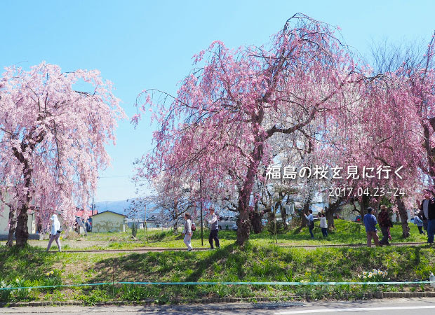 福島･喜多方の桜