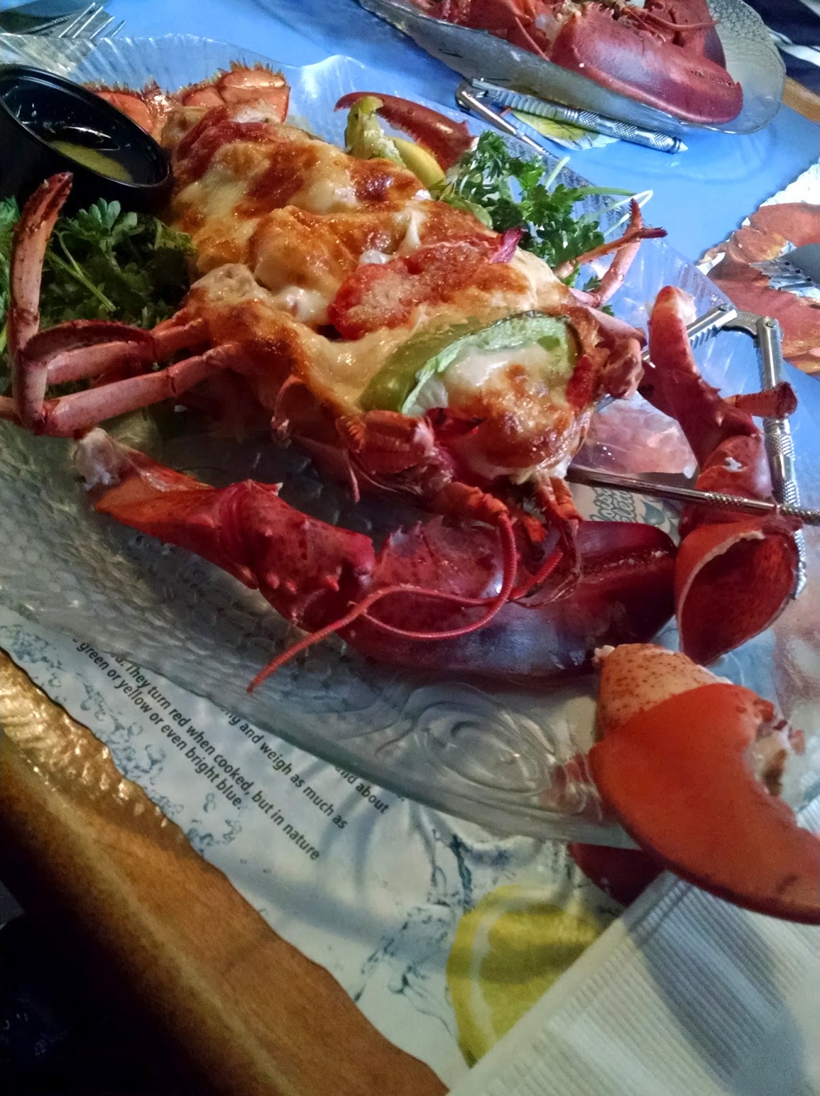 Wherever It Takes Culinary Kennebunkport