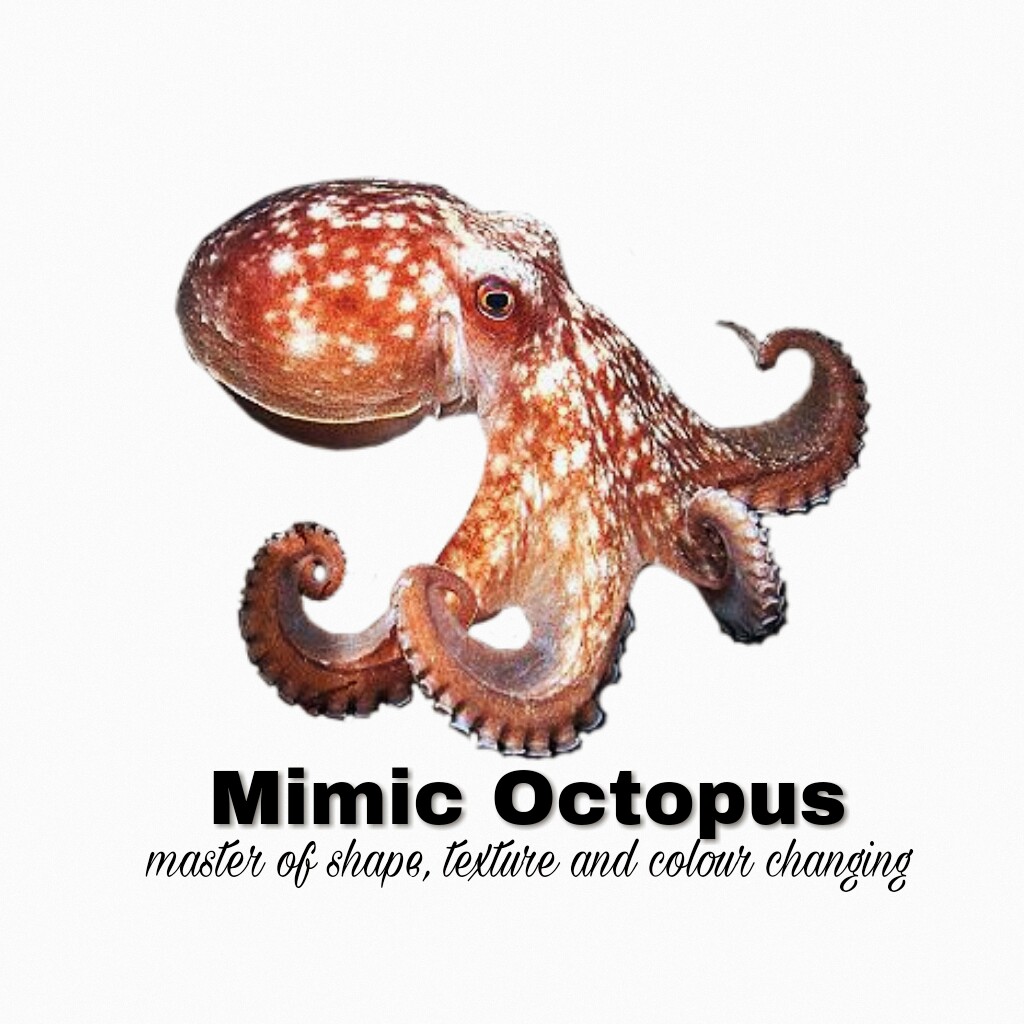 mimic octopuse master of