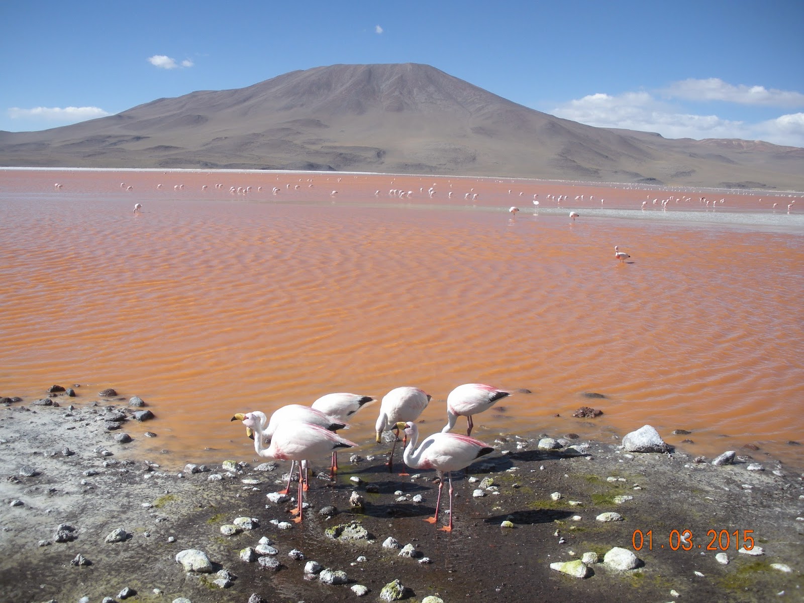 Atacama - Blogs de Bolivia - Hacia el desierto de Atacama (7)