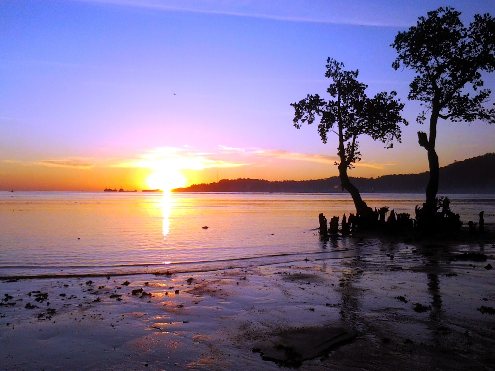 27+ Foto Pemandangan Alam Sore Hari