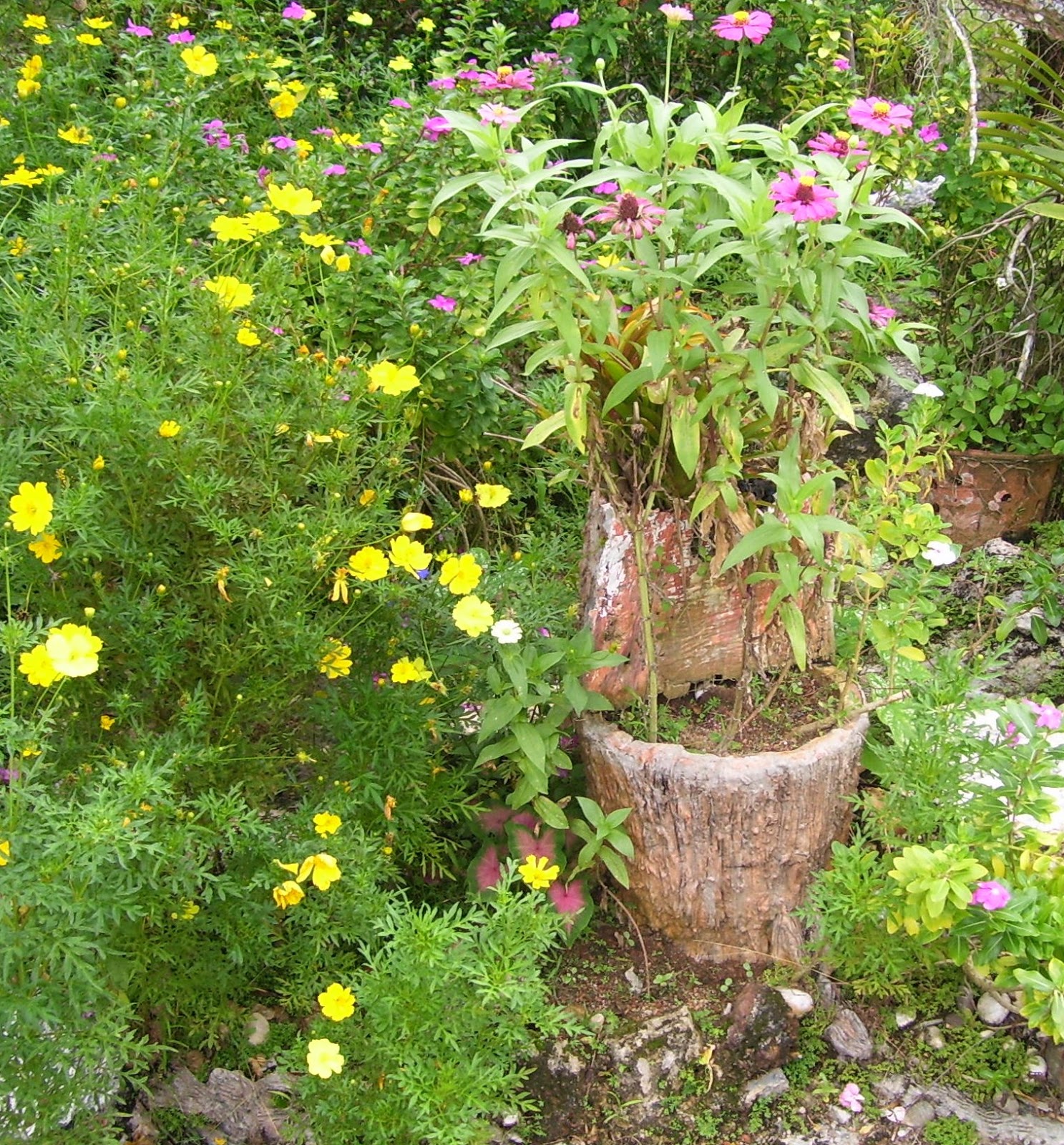 theperanakanconnection How to make a fake tree trunk/stump for your garden