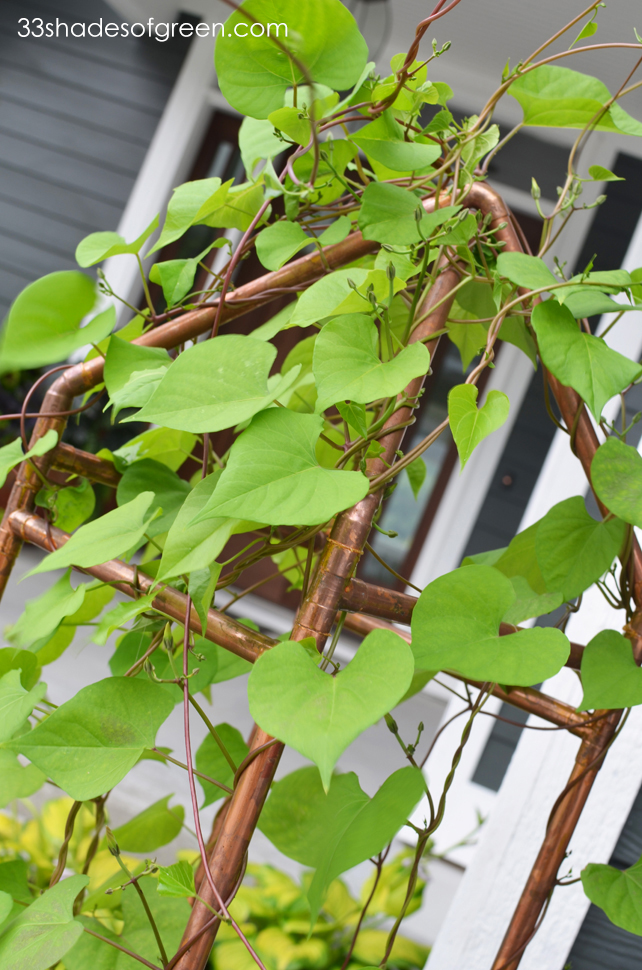 33 Shades of Green DIY Copper Trellis Tutorial