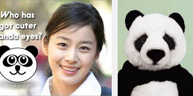 The+cause+and+how+to+remove+Panda+Eyes.png