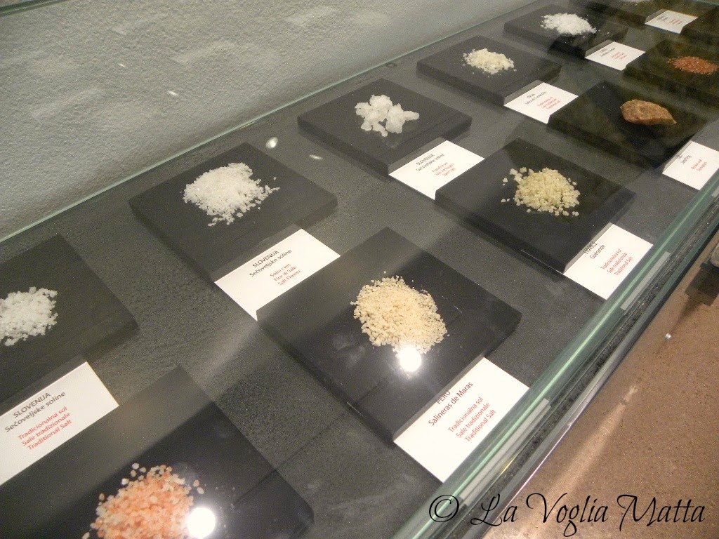 Saline di Sicciole museo del sale