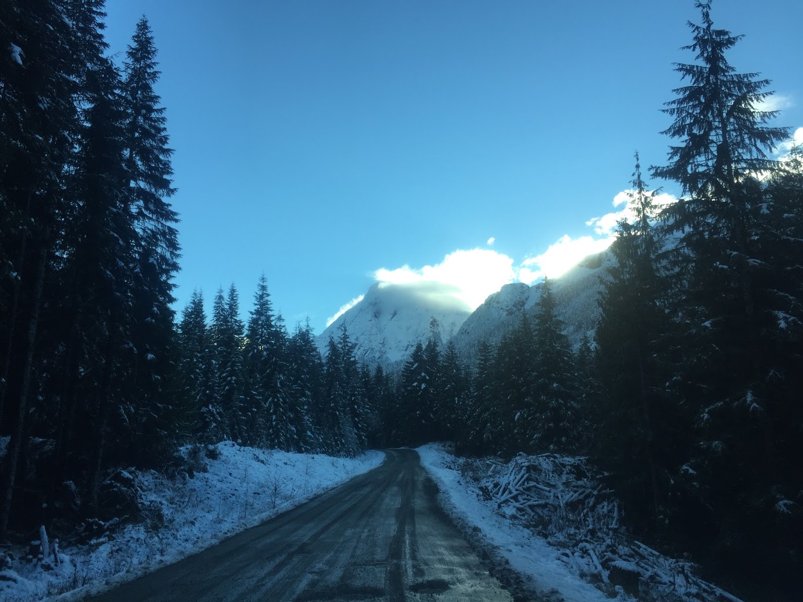 BC Oceanfront BCO Coastal Gems Zeballos