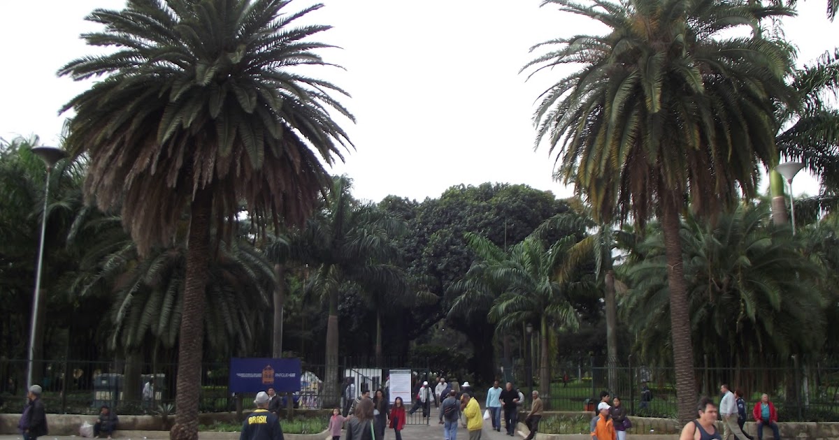 Parque da Luz (Jardim da Luz ) Uma Outra Sampa