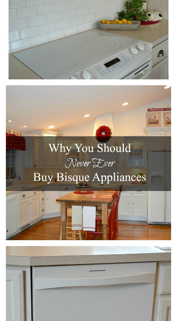 Never Ever Buy Bisque Appliances Exquisitely Unremarkable