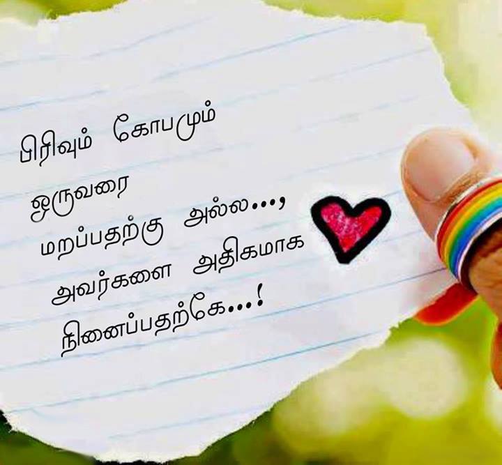 Featured image of post True Love Feeling True Love Love Quotes In Tamil : It&#039;s a constant commitment to a person regardless of the present circumstances.