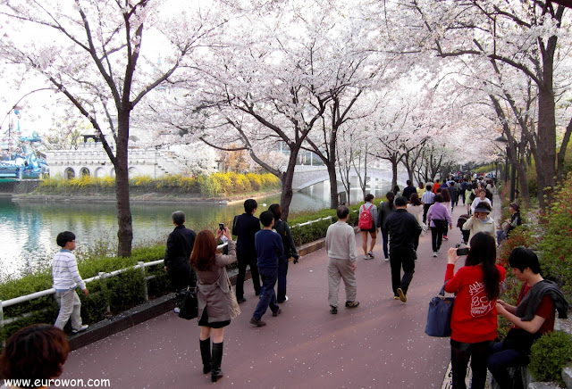 Coreanos disfrutando de las flores de cerezo en Jamsil