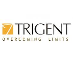 freshers bangalore hyderabad chennai jobs india engineers l1 walk support