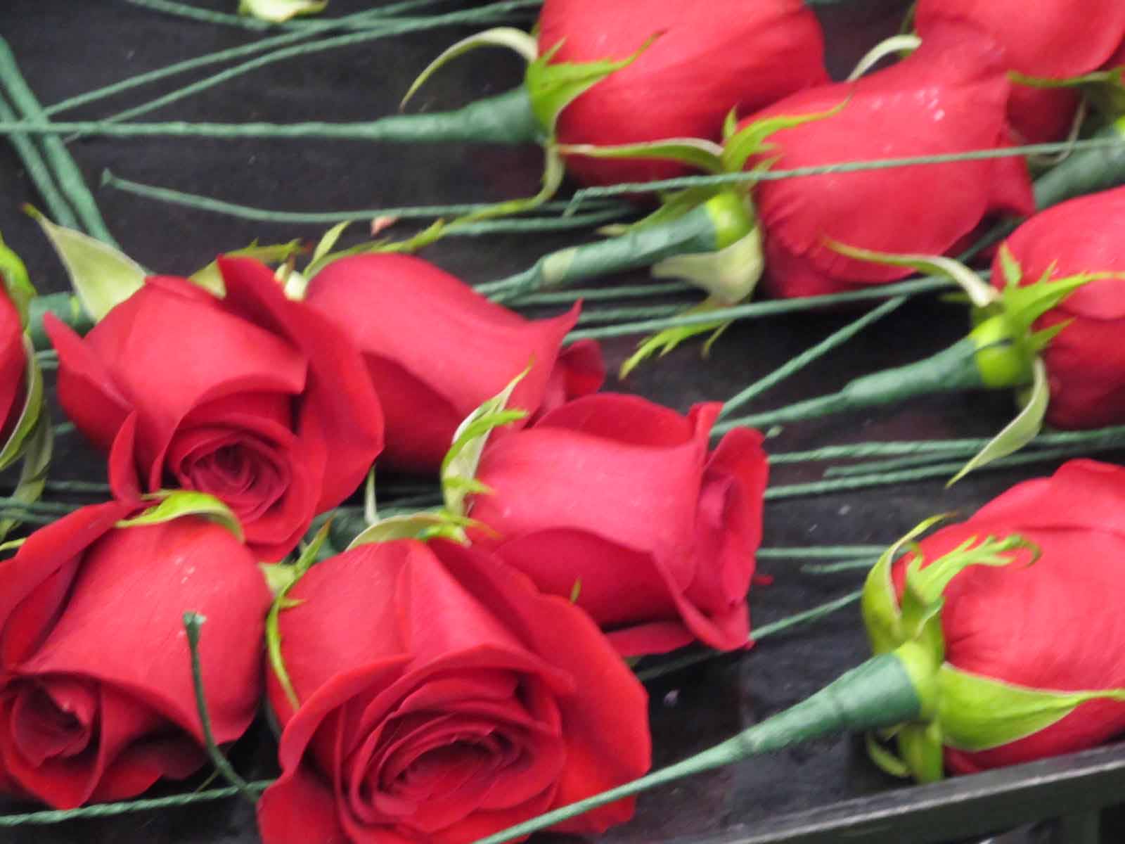 Summit Musings Kentucky Derby Traditions Crafting the Rose Garland