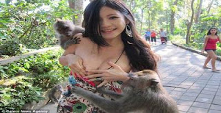 Monyet Peloroti Kemben Charmian Chen (Model Taiwan) di Bali