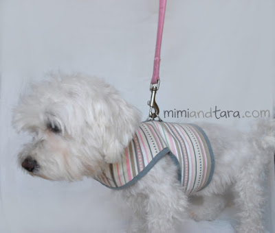 vest harness for dog