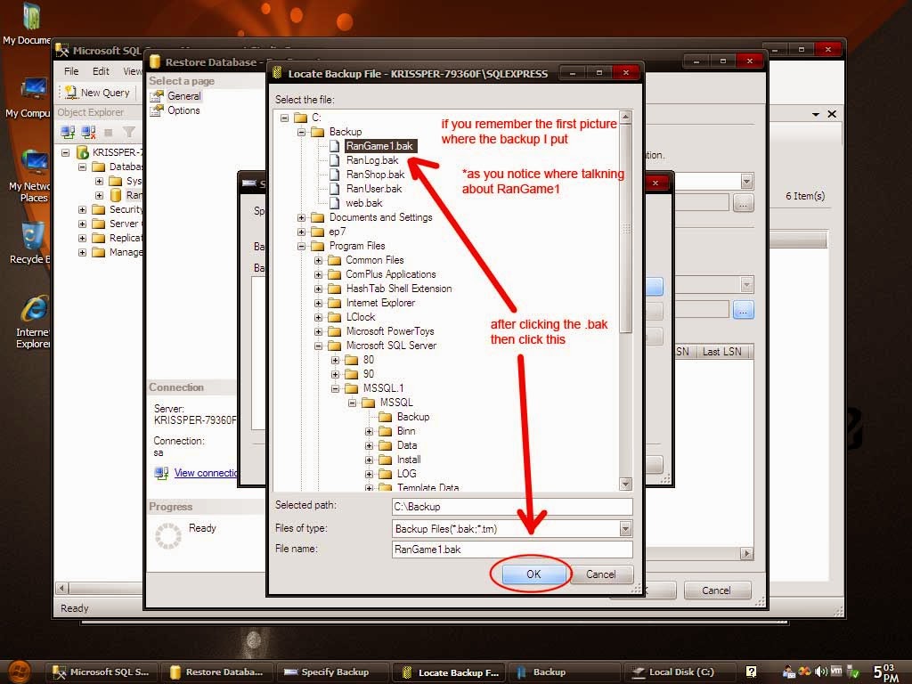 ran online private server sql injection ran online private server sql injection