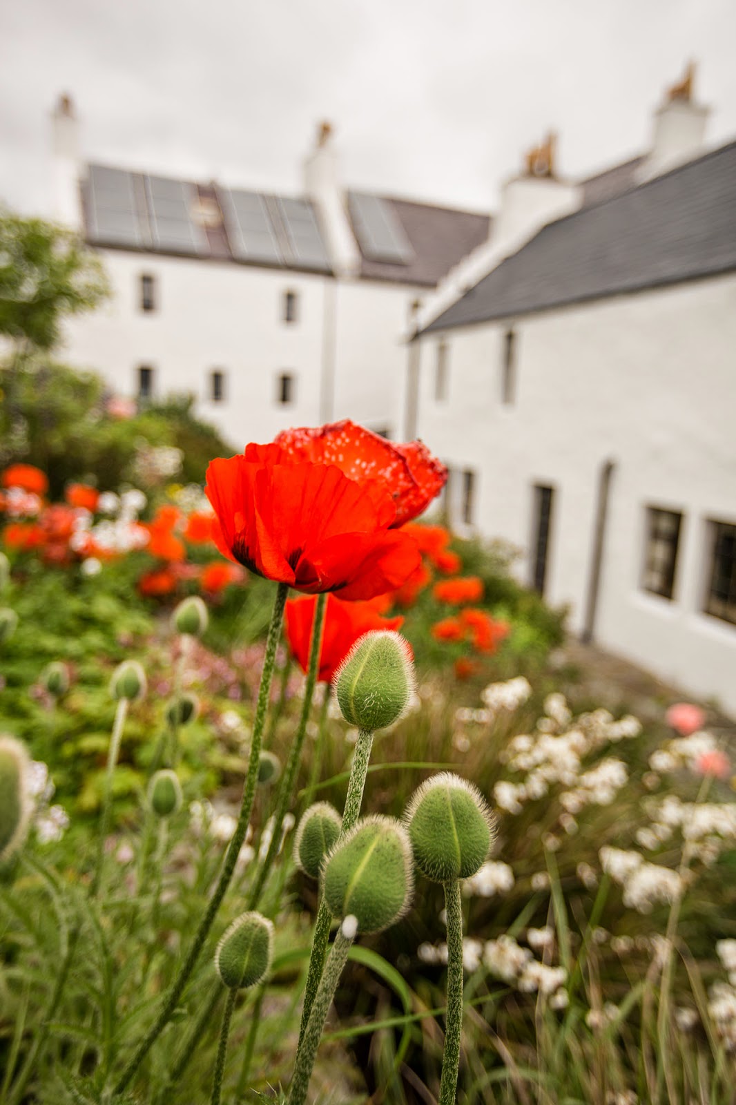 Busta House Hotel Busta House Hotel, Shetland, Scotland, UK