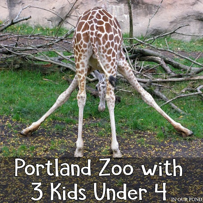 Portland Zoo with 3 Kids Under 4 from In Our Pond  #travel #pacificnorthwest #travelwithkids #roadtrip #portland #zoo #portlandwithkids #zoowithkids