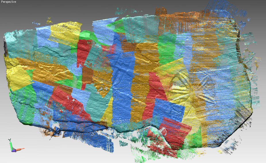 Partially modelled 3D laser scan of c 8th Century stone slab - Marigold decoration in lower right
