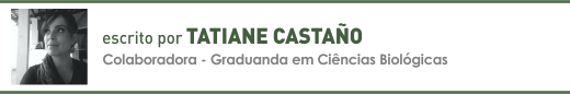 Clique aqui para ler mais sobre artigos de Tatiane Castaño