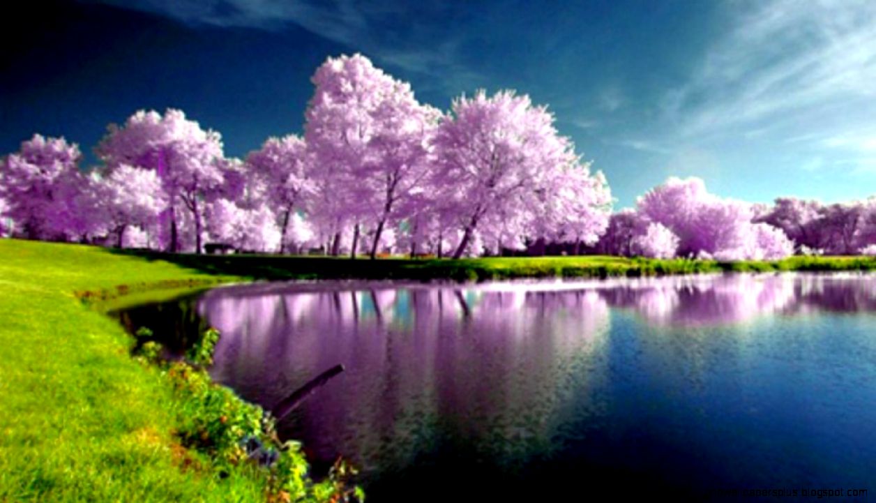 HD Spring Wallpapers For Desktop   Wallpaper Cave