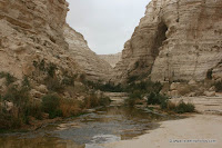 Ein Avdat, Negev, Nationaal Park