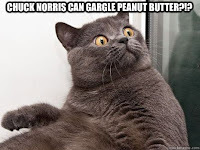 Cat Humor Gargling