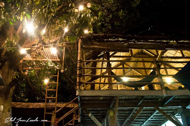 The Circle Hostel La Union | Tree and Common Area