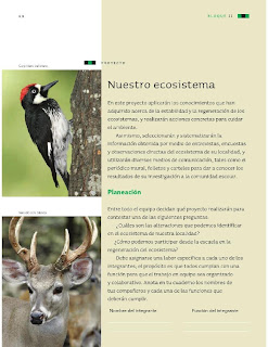 Apoyo Primaria Ciencias Naturales 4to Grado Bloque II Proyecto Nuestro ecosistema