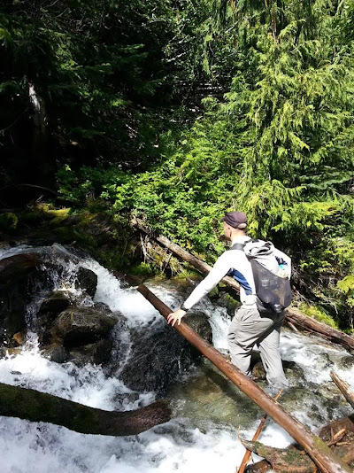Lillian Creek