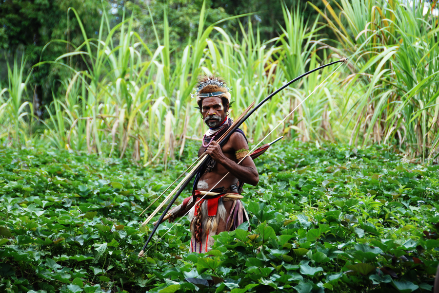 вторая половина к гвинее 5 букв. язык ротокас остров бугенвиль. фригия гвинея. бугенвиль папуа новая гвинея. вторая половина к гвинее 5 букв.