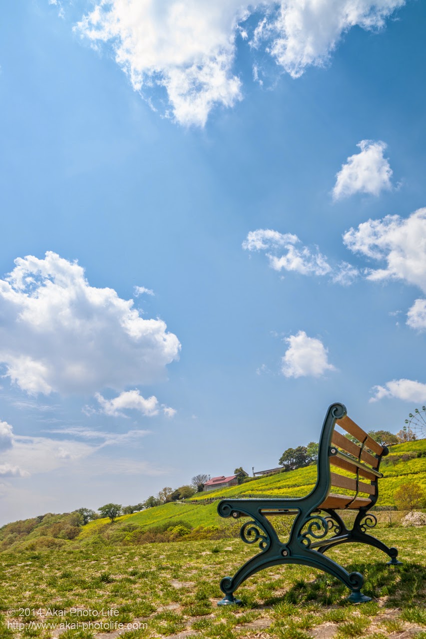マザー牧場、青空と自然を見ながら休めるベンチ