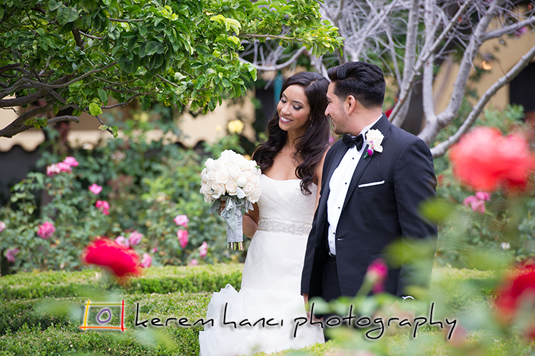 A Nice Little Stroll in the Rose Garden