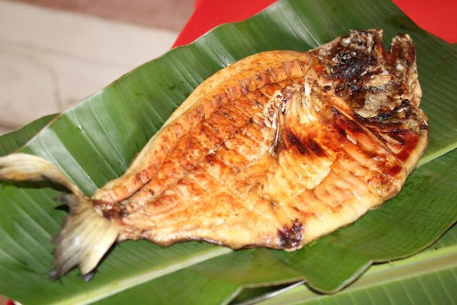 Rondônia doa 6 toneladas de peixe para Festival Tambaqui da Amazônia em Brasília Rondônia doa 6 toneladas de peixe para Festival Tambaqui da Amazônia em Brasília