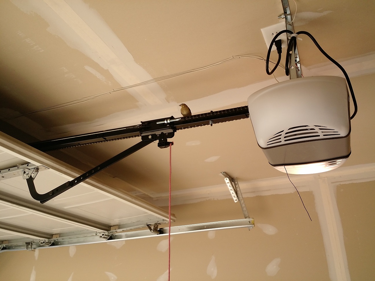 Fongpay's Universe Bird Stuck in the Garage