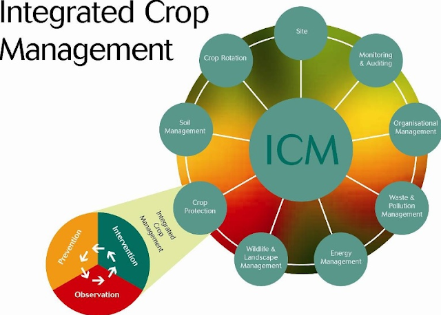 ICM (Integrated Crop Management) Deﬁnition, Principles, Components of ...