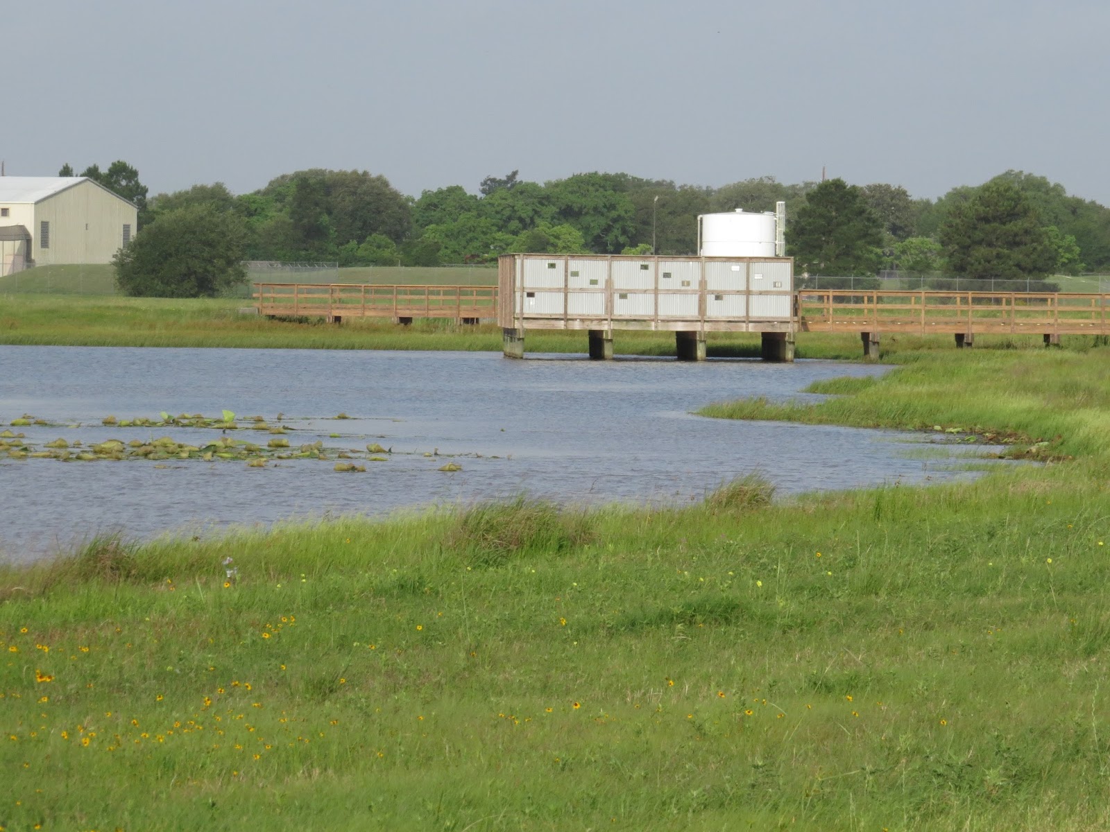 Where To Fish In Houston??: # 133 Paul D Rushing Park Katy