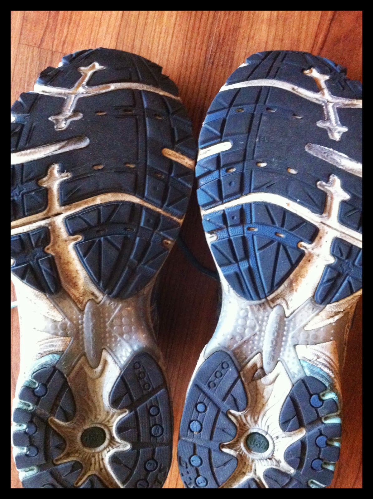 Running in Place.....and getting nowhere fast! New Running Shoes Make